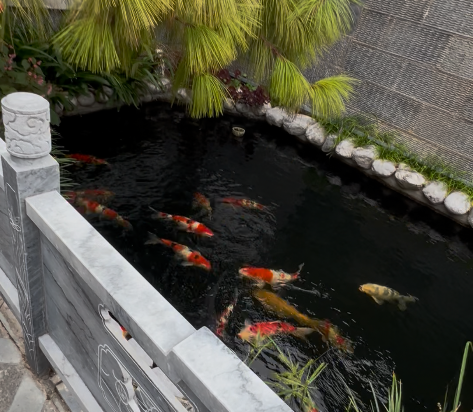 麗江玉龍涵舍予苑客棧優惠