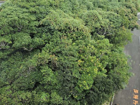 フェアフィールド･バイ･マリオット･和歌山すさみ クーポン