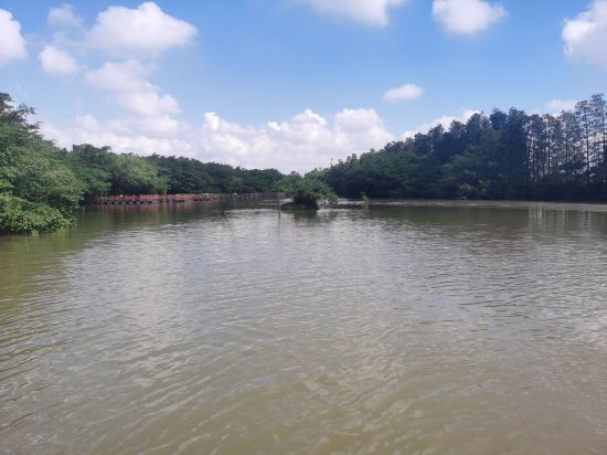 麗楓酒店（清遠市政府新城汽車站店）優惠