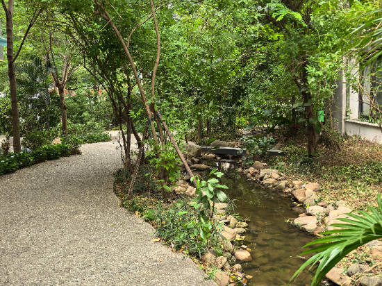 泰華梧桐公寓（寶安中心店）優惠