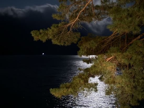 湖上苑飯店優惠