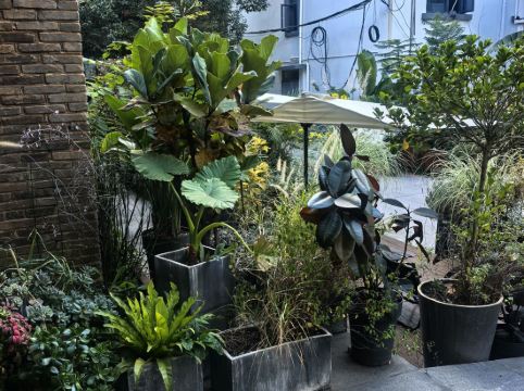 花築奢·Raw酒店（金馬碧雞翠湖昆明店）優惠