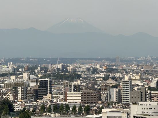ハイアット リージェンシー 東京 クーポン