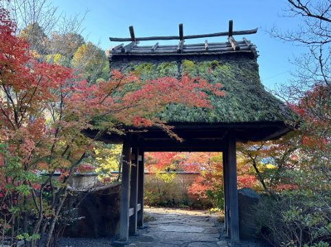 旅館 すみや亀峰菴 クーポン