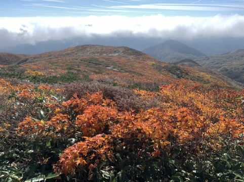 ハイルザーム栗駒 クーポン