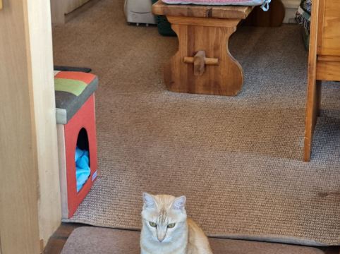 レイクヴィラ河口湖 クーポン