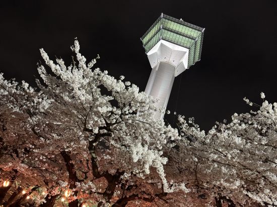 ホテルBRS函館五稜郭タワー前 クーポン