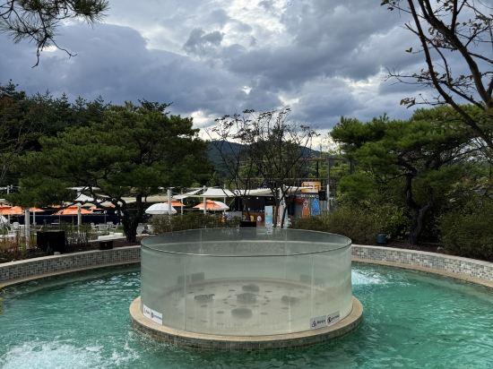 더 앤 리조트 호텔 쿠폰