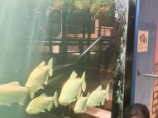 馬六甲松閑酒店優惠