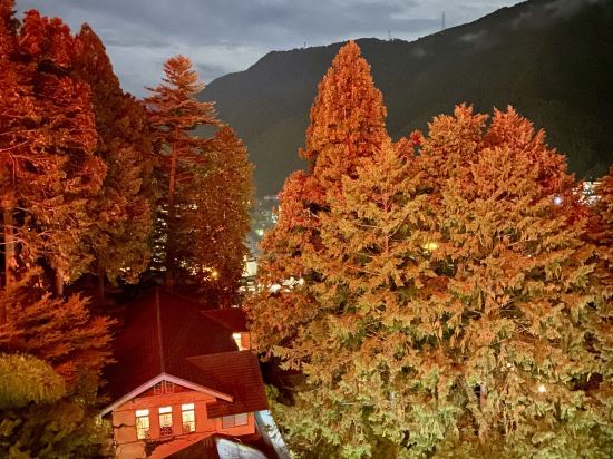 下呂溫泉 湯之島館優惠
