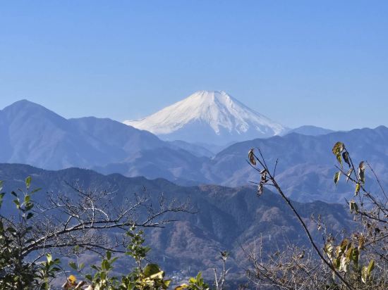 富士格蘭別墅-時-優惠