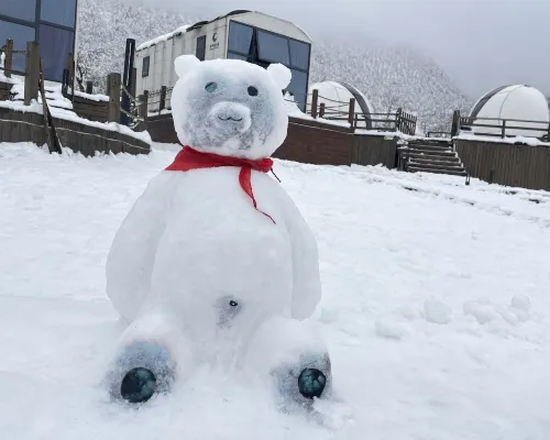 Deshell Turtle Camp Hotel (Daqi Xiling Snow Mountain Branch) Photos