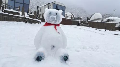 Deshell Turtle Camp Hotel (Daqi Xiling Snow Mountain Branch) Photos