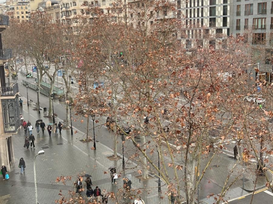 巴塞隆拿伯爵酒店優惠