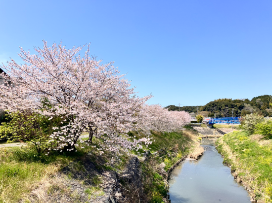 ホテルリブマックス掛川駅前 クーポン