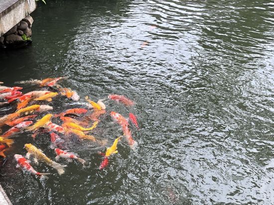 杭州西湖柳鶯裡飯店優惠