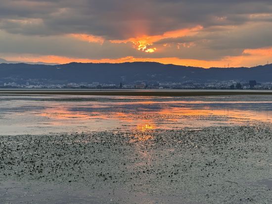 上諏訪温泉 しんゆ クーポン