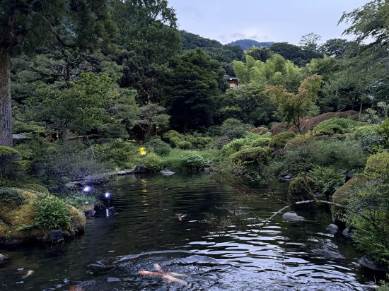 箱根湯本温泉 吉池旅館 クーポン