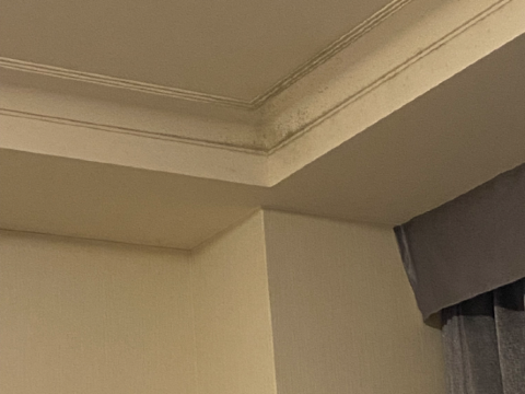 京王プラザホテル 八王子 クーポン