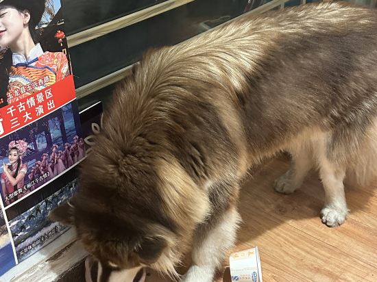 花築奢·麗江古城沁湖軒湖景花園客棧優惠