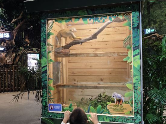 長隆飛船飯店優惠