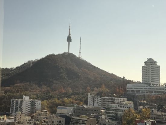 티마크그랜드호텔 명동 쿠폰