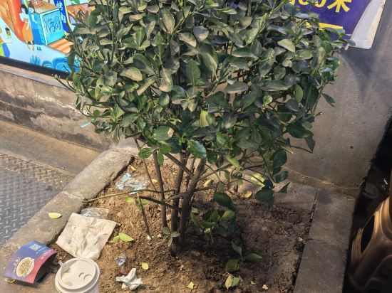 西安鐘樓諾富特酒店優惠