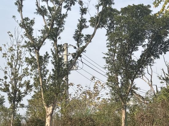 吉安希爾頓歡朋酒店優惠