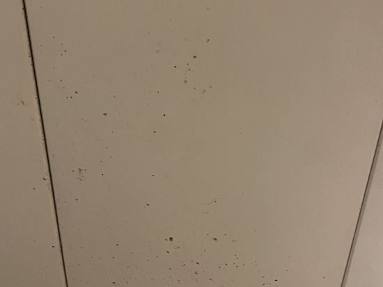 香港華大盛品酒店優惠