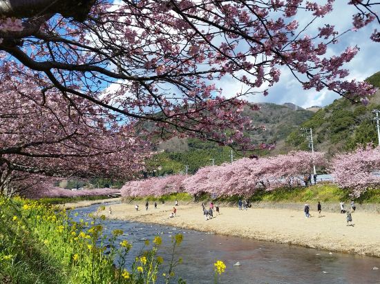 湯ヶ島ゴルフ倶楽部&ホテルリゾート クーポン