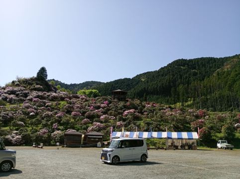 池の山荘 クーポン