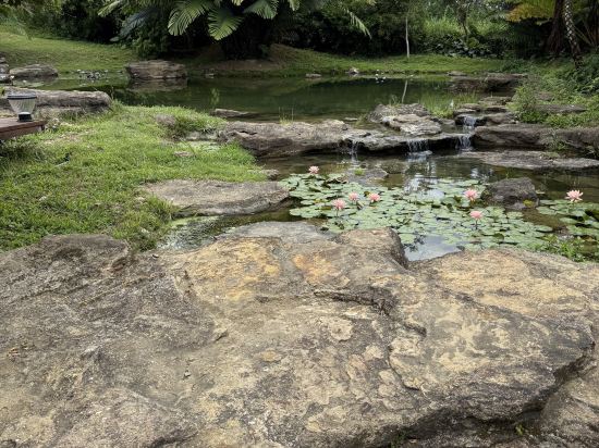 五柳園休閒農場優惠