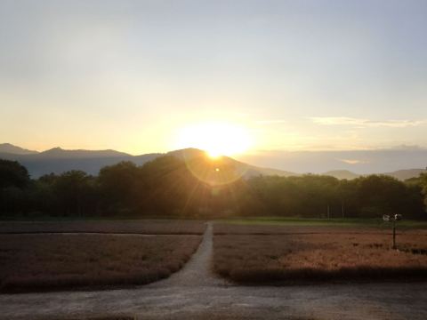 ハイランドふらの クーポン