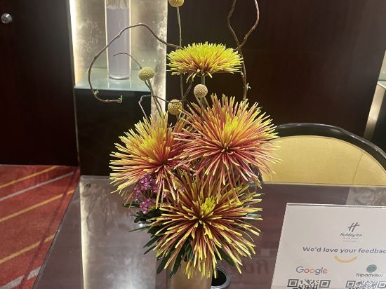 曼谷是隆假日飯店 - IHG 旗下飯店優惠