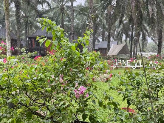 菠蘿的海.度假別墅優惠