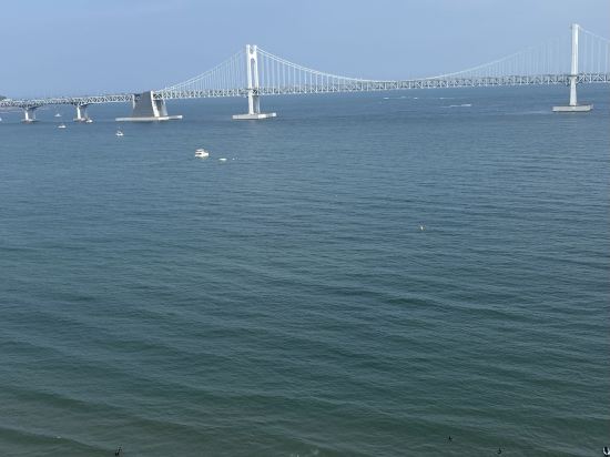 쏘타컬렉션 더 테라스 쿠폰