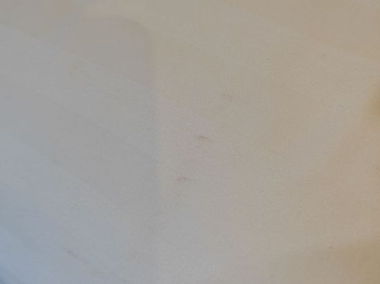 橋牌俱樂部優惠
