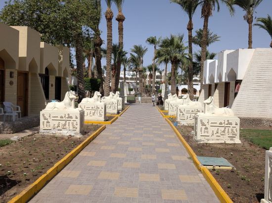 ZYA赫爾格達雷吉娜水上公園度假村優惠