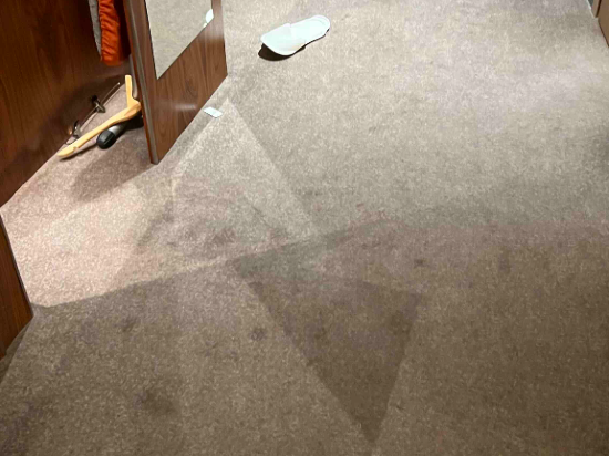 莫斯科謝諾梅傑沃機場麗笙藍標酒店優惠