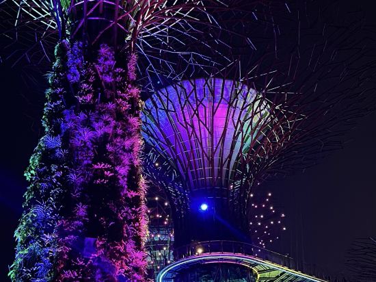 新加坡宜必思快捷-水晶（SG Clean） （Staycation Approved）優惠