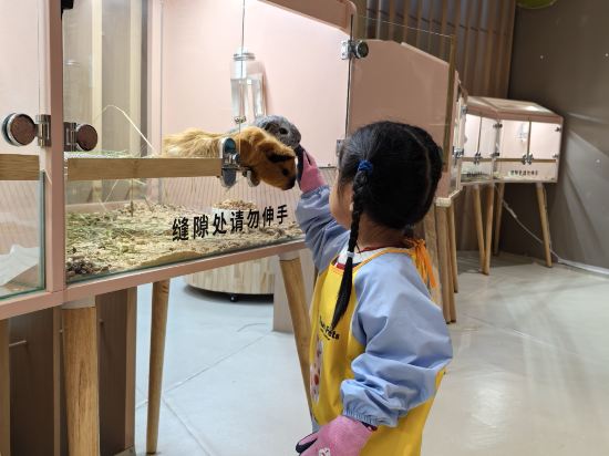 深圳桔釣沙萊華度假酒店優惠