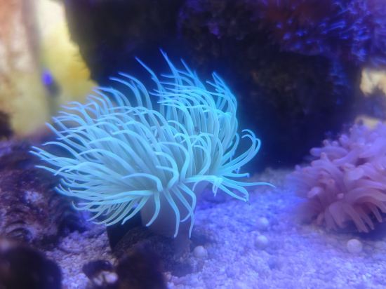 ビジネスホテルみはらし亭 クーポン