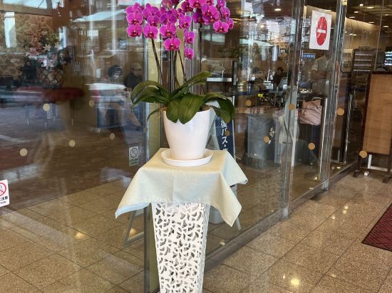 熱海ニューフジヤホテル クーポン