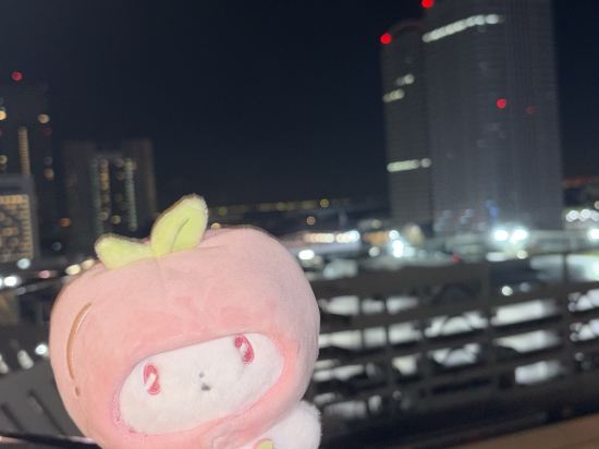 ホテルスプリングス幕張 クーポン