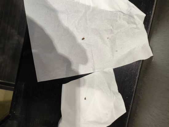 高雄樹屋旅店優惠