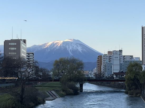 ダイワロイネットホテル盛岡駅前 クーポン