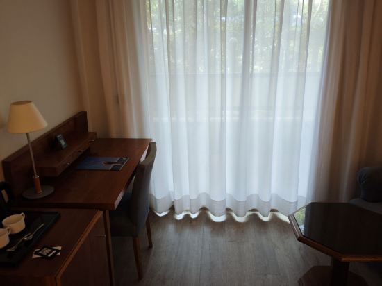 巴拉哈斯參議員酒店優惠