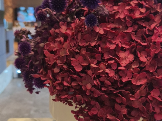 上海虹橋漕河涇美居飯店優惠
