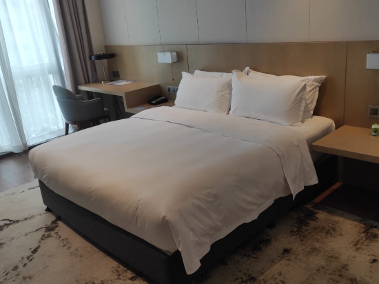 深圳海源城智選假日酒店優惠