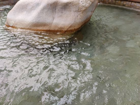 廣州碧水灣温泉度假村優惠